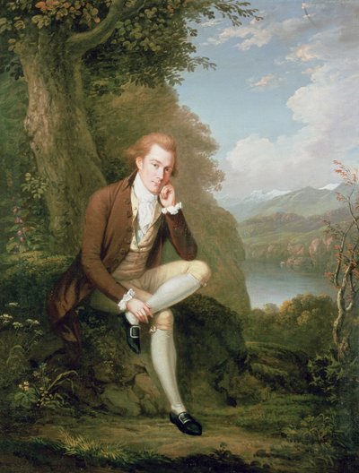 Portrait of a Man in Brown by Arthur Devis